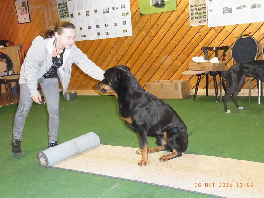 Azat - geht doch.jpg (886 x 665)